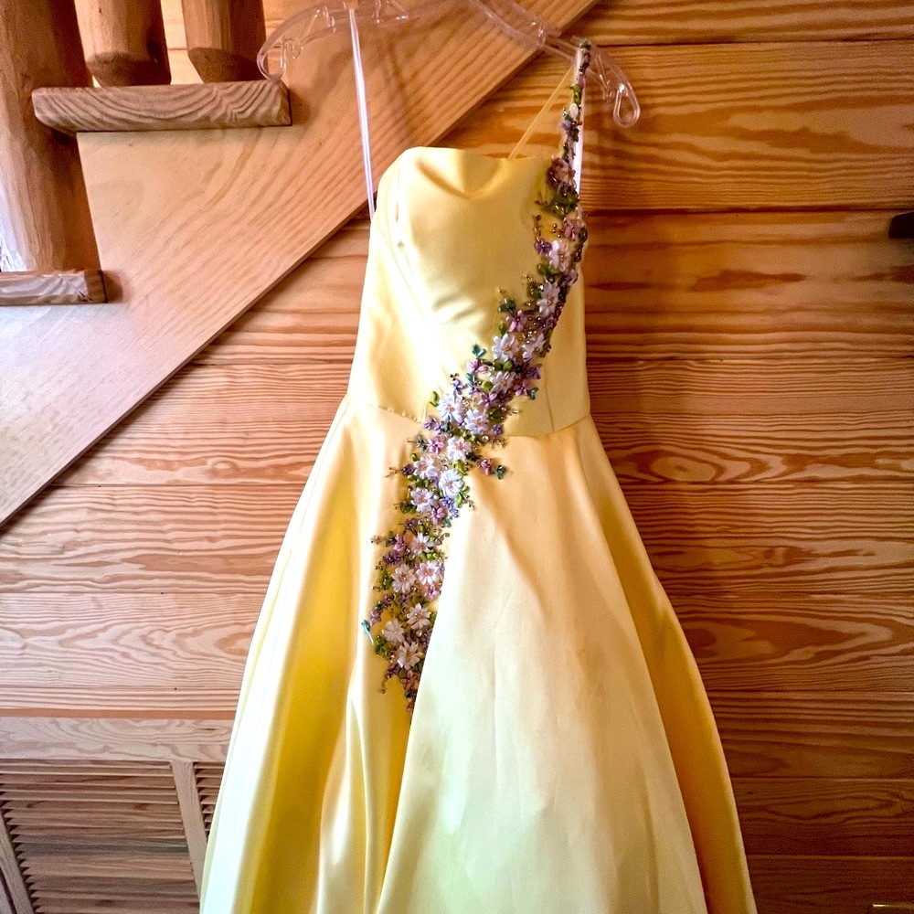 Prom dress never worn because of Covid canceling prom.